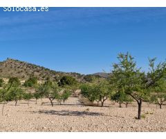 Parcela en Venta en Yecla, Murcia