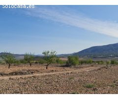 Parcela en Venta en Yecla, Murcia