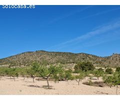 Parcela en Venta en Yecla, Murcia