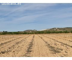 Parcela en Venta en Pinoso, Alicante