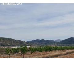 Parcela en Venta en Pinoso, Alicante