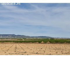 Parcela en Venta en Pinoso, Alicante