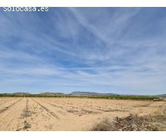 Parcela en Venta en Pinoso, Alicante