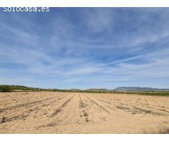 Parcela en Venta en Pinoso, Alicante