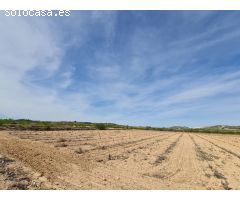 Parcela en Venta en Pinoso, Alicante