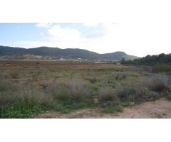 Parcela en Venta en Pinoso, Alicante