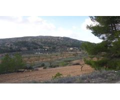 Parcela en Venta en Pinoso, Alicante