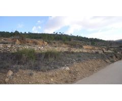 Parcela en Venta en Pinoso, Alicante