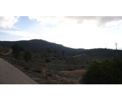Parcela en Venta en Pinoso, Alicante