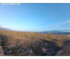 Parcela en Venta en Pinoso, Alicante