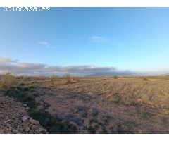 Parcela en Venta en Pinoso, Alicante