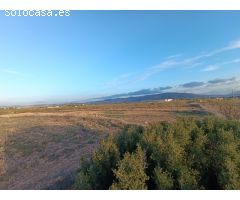 Parcela en Venta en Pinoso, Alicante