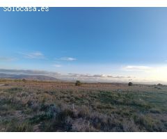 Parcela en Venta en Pinoso, Alicante