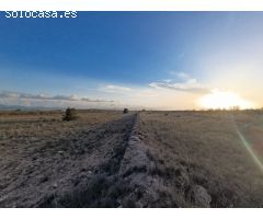 Parcela en Venta en Pinoso, Alicante