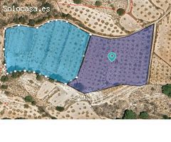 Parcela en Venta en Yecla, Murcia