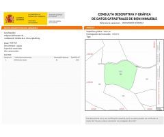 Parcela en Venta en Yecla, Murcia