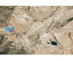 Parcela en Venta en Yecla, Murcia