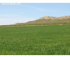 Parcela en Venta en Yecla, Murcia