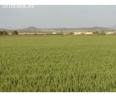 Parcela en Venta en Yecla, Murcia