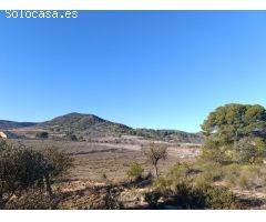 Parcela en Venta en Yecla, Murcia