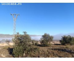 Parcela en Venta en Yecla, Murcia