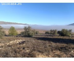 Parcela en Venta en Yecla, Murcia