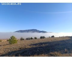 Parcela en Venta en Yecla, Murcia