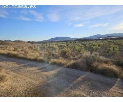 Parcela en Venta en Novelda, Alicante