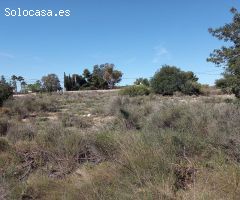 Parcela en Venta en Novelda, Alicante