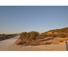 Parcela en Venta en Pinoso, Alicante