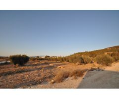 Parcela en Venta en Pinoso, Alicante