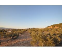 Parcela en Venta en Pinoso, Alicante