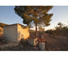 Parcela en Venta en Pinoso, Alicante