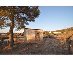 Parcela en Venta en Pinoso, Alicante