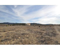 Parcela en Venta en Pinoso, Alicante