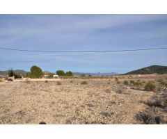 Parcela en Venta en Pinoso, Alicante