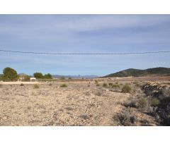 Parcela en Venta en Pinoso, Alicante