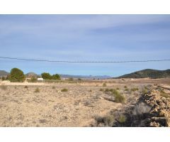 Parcela en Venta en Pinoso, Alicante