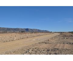 Parcela en Venta en Pinoso, Alicante