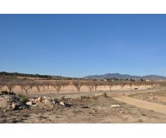 Parcela en Venta en Pinoso, Alicante