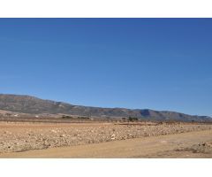 Parcela en Venta en Pinoso, Alicante