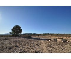 Parcela en Venta en Pinoso, Alicante