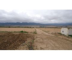 Parcela en Venta en Yecla, Murcia