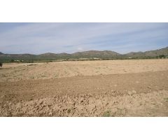Parcela en Venta en Yecla, Murcia
