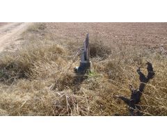 Parcela en Venta en Yecla, Murcia