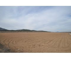Parcela en Venta en Monovar - Monover, Alicante