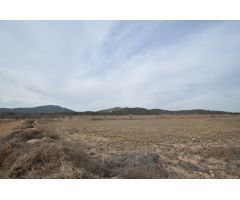 Parcela en Venta en Monovar - Monover, Alicante