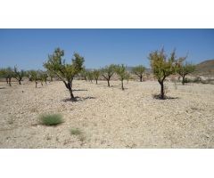 Parcela en Venta en Abanillas, Murcia