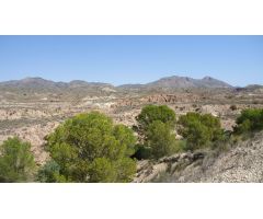 Parcela en Venta en Abanillas, Murcia