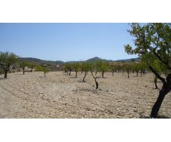 Parcela en Venta en Abanillas, Murcia